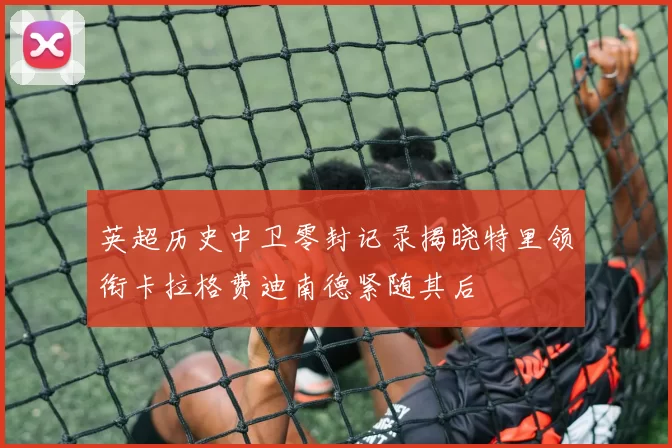 英超历史中卫零封记录揭晓特里领衔卡拉格费迪南德紧随其后