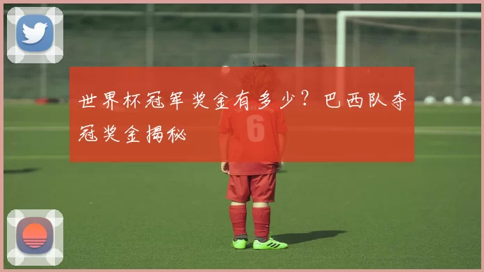世界杯冠军奖金有多少?巴西队夺冠奖金揭秘