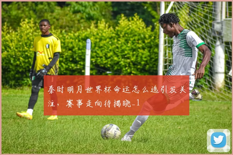 秦时明月世界杯命运怎么选引发关注，赛事走向待揭晓_1