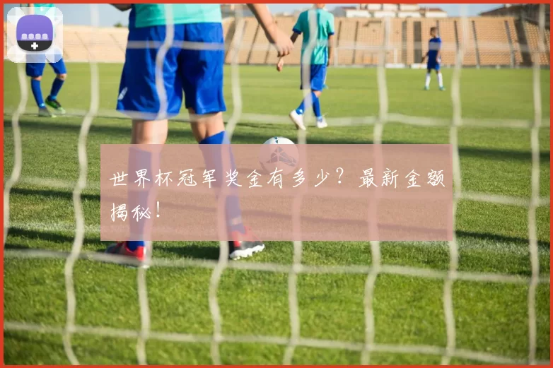 世界杯冠军奖金有多少?最新金额揭秘!