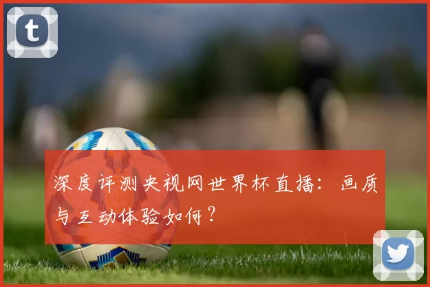 深度评测央视网世界杯直播：画质与互动体验如何？