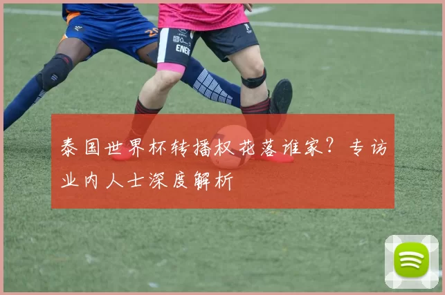 泰国世界杯转播权花落谁家?专访业内人士深度解析