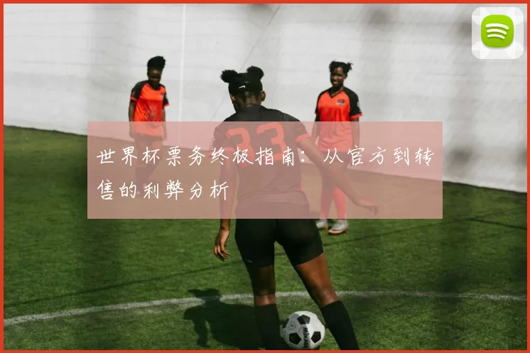 世界杯票务终极指南:从官方到转售的利弊分析