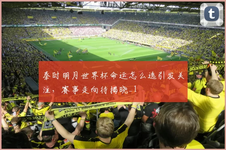 秦时明月世界杯命运怎么选引发关注，赛事走向待揭晓_1